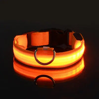 Thumbnail for Flashing Glow Dog Collar