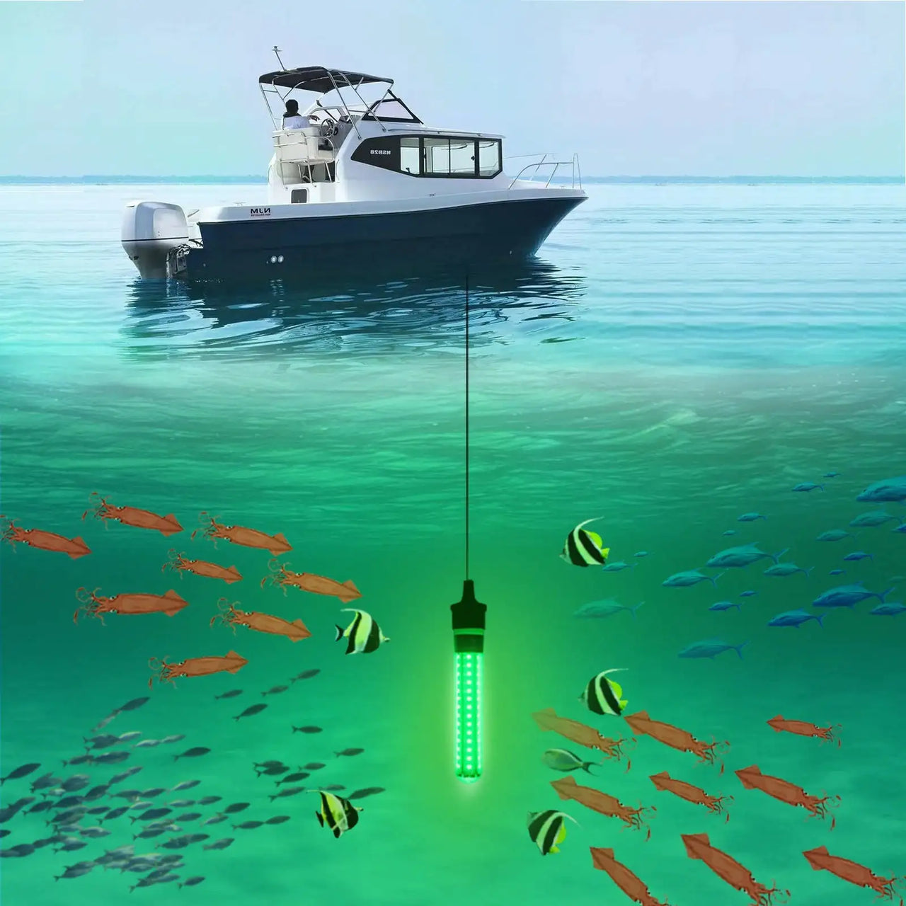 Underwater Night Fishing Light