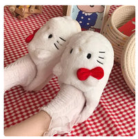 Thumbnail for Plush Slippers