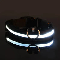 Thumbnail for Flashing Glow Dog Collar