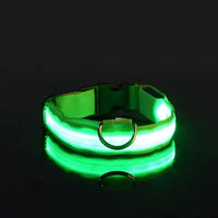 Thumbnail for Flashing Glow Dog Collar