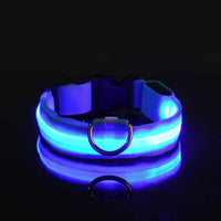 Thumbnail for Flashing Glow Dog Collar