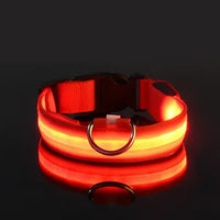 Thumbnail for Flashing Glow Dog Collar