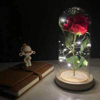 Thumbnail for Led Rose Decoration