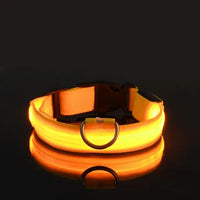 Thumbnail for Flashing Glow Dog Collar