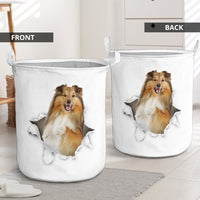 Thumbnail for Shetland Sheepdog - Tornpaper - LB