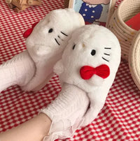 Thumbnail for Plush Slippers