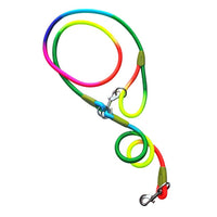 Thumbnail for Reflective Nylon Dog Leashes