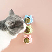 Thumbnail for Cat Catnip Ball Toys Crab Base