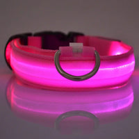 Thumbnail for Flashing Glow Dog Collar