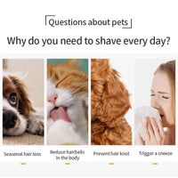 Thumbnail for Cat Grooming Brush