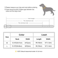 Thumbnail for Dog Collar and Leash Set