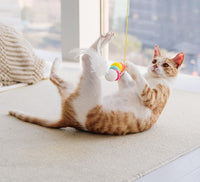 Thumbnail for Cat Toys Simulated Caterpillar Cute Toys Funny Self-hey Interactive Toy Rope Grabbing Mouse Telescopic Hanging Cat Pet Supplies