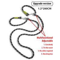 Thumbnail for Reflective Nylon Dog Leashes