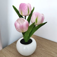 Thumbnail for Flowerpot Potted Table Lamp