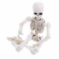 Thumbnail for Movable Mr. Bones Skeleton