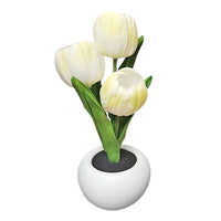 Thumbnail for Flowerpot Potted Table Lamp