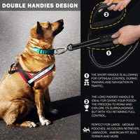 Thumbnail for Reflective Dog Leash