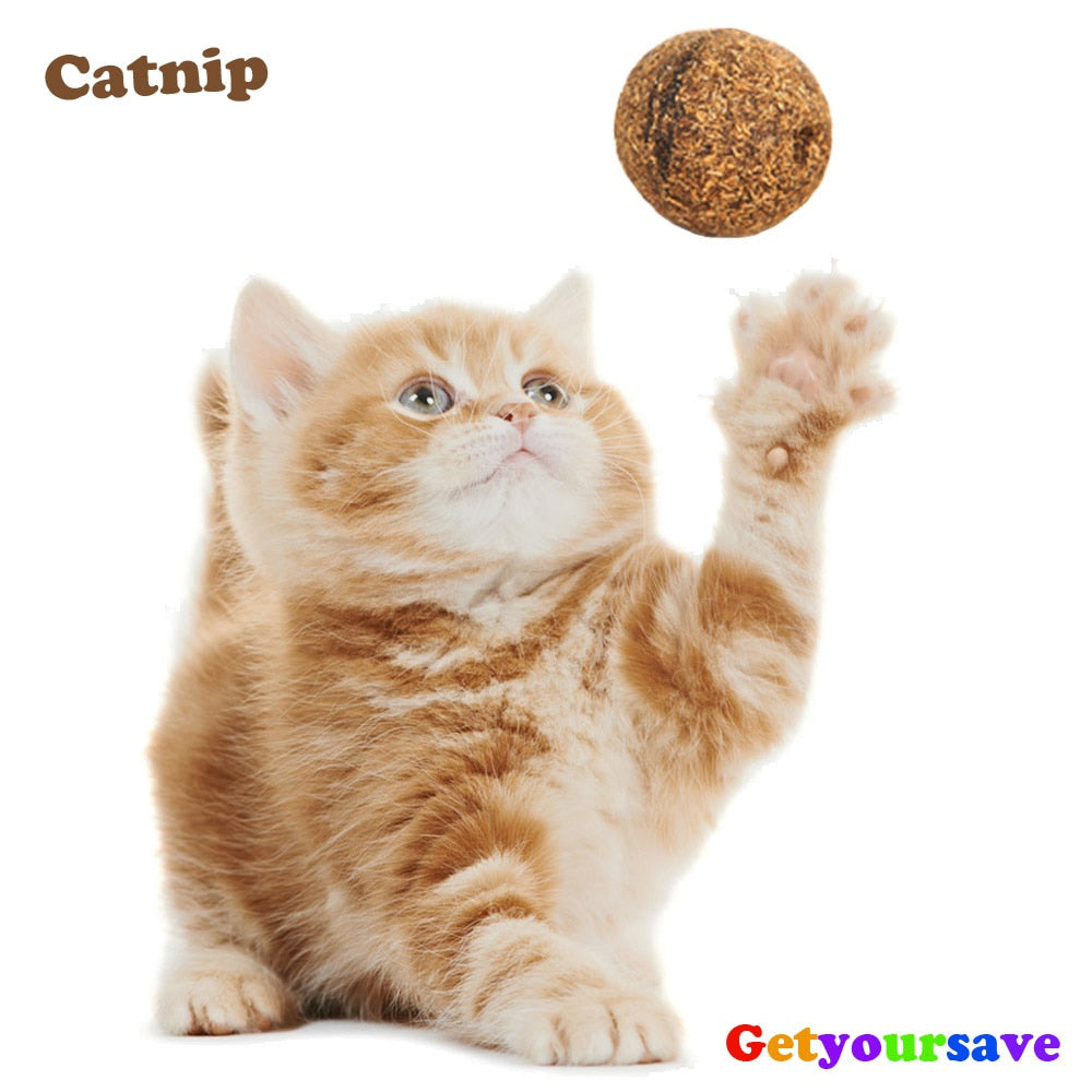 Catnip Toy