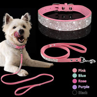 Thumbnail for Pet Collar Leash Set