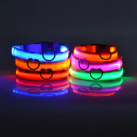 Thumbnail for Flashing Glow Dog Collar