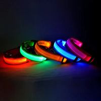 Thumbnail for Flashing Glow Dog Collar