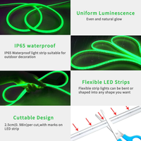 Thumbnail for LED Rope Lights