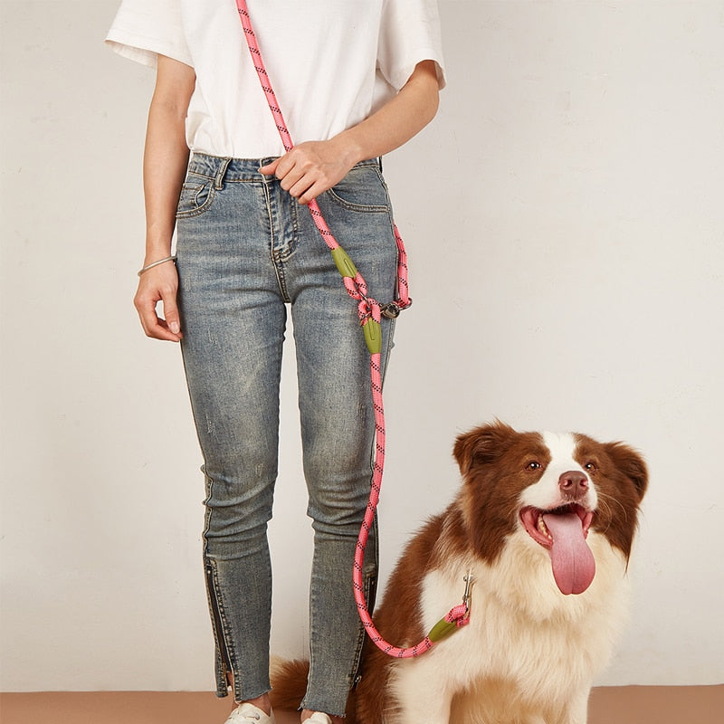 Reflective Nylon Dog Leashes