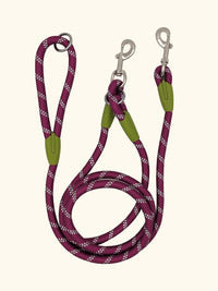 Thumbnail for Reflective Nylon Dog Leashes