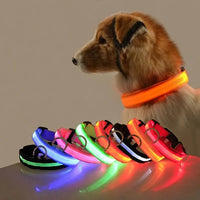 Thumbnail for Flashing Glow Dog Collar